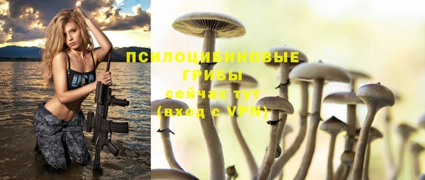 хмурый Богородицк