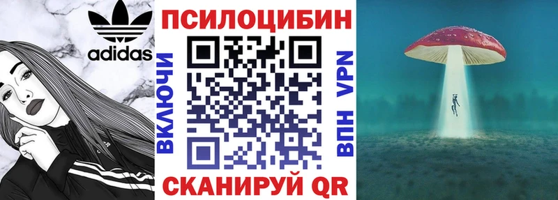 наркошоп  Нелидово  Псилоцибиновые грибы Cubensis 