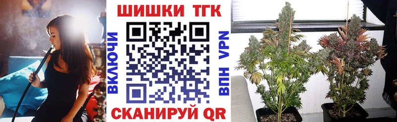 Каннабис план  купить наркотики сайты  Нелидово 